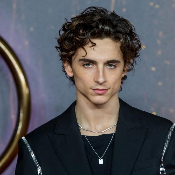 Timothée Chalamet e il body shaming di Hollywood, anche lui fu vittima del bullismo di Tinseltown