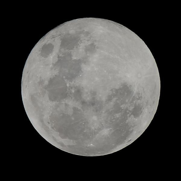 Luna Piena Fredda: oggi 8 dicembre si potrà vedere