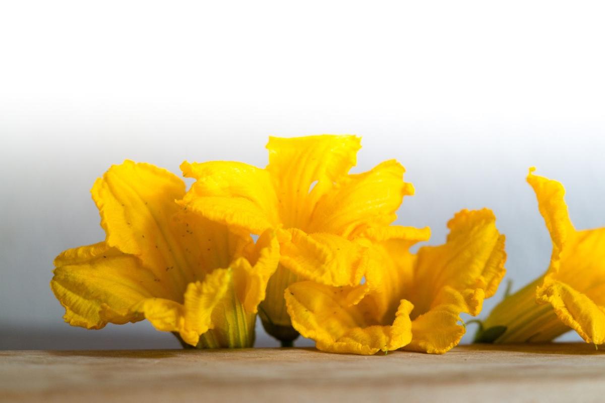 Come si fanno gli sciurilli napoletani, le zeppole di fiori di zucca