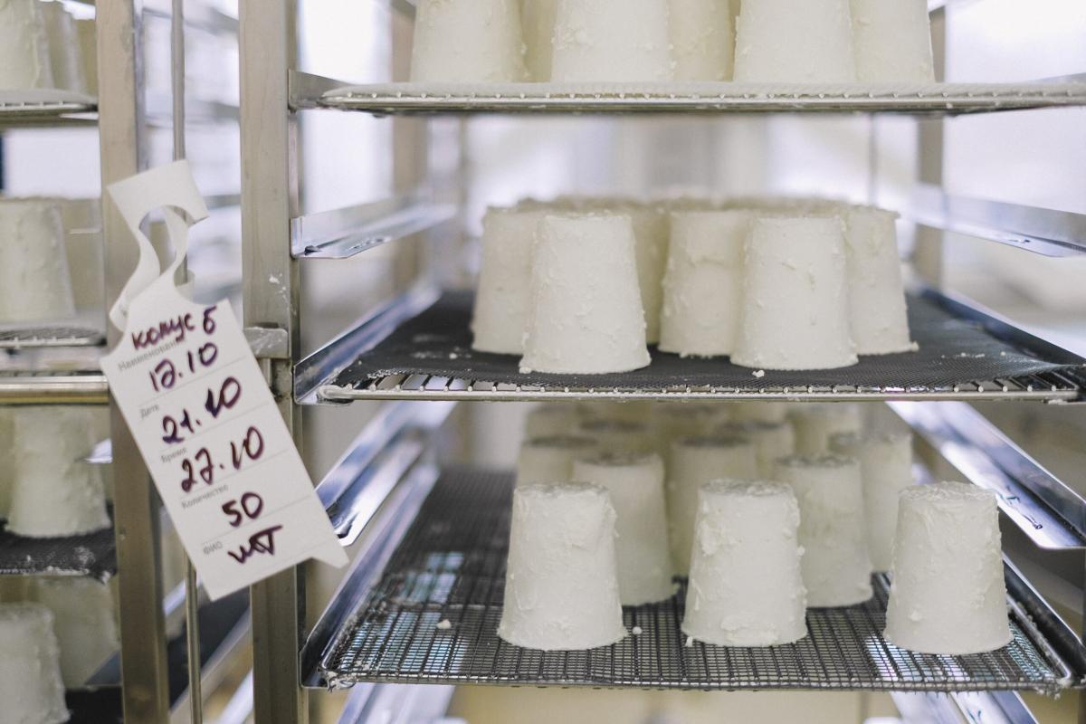 Golosi, ecco per voi la ricetta della ricotta al limone