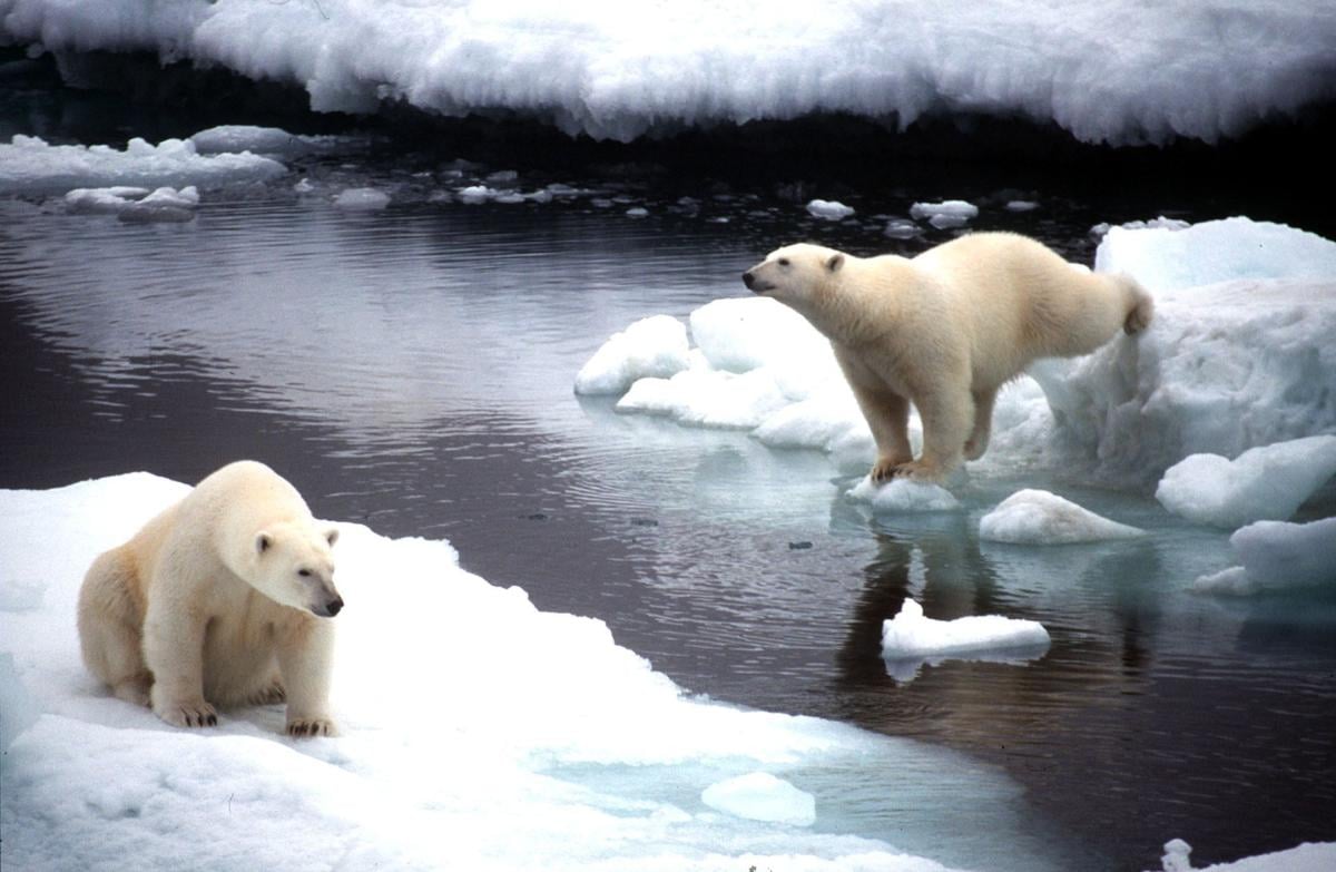 Il riscaldamento globale e l’aumento della temperatura fanno paura,…