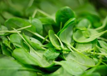 Scuola di cucina: come cucinare gli spinaci freschi e come pulirli