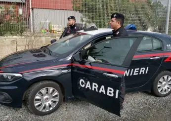 Genova, maxi sequestro di cocaina sulla Msc Adelaide: arrestati altri quattro portuali