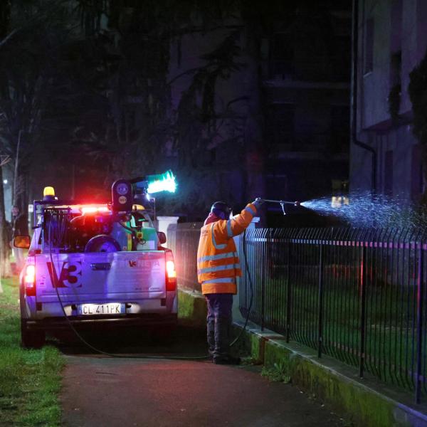 Francia, paura per il possibile aumento dei casi di dengue in vista di Parigi 2024: “Situazione senza precedenti”