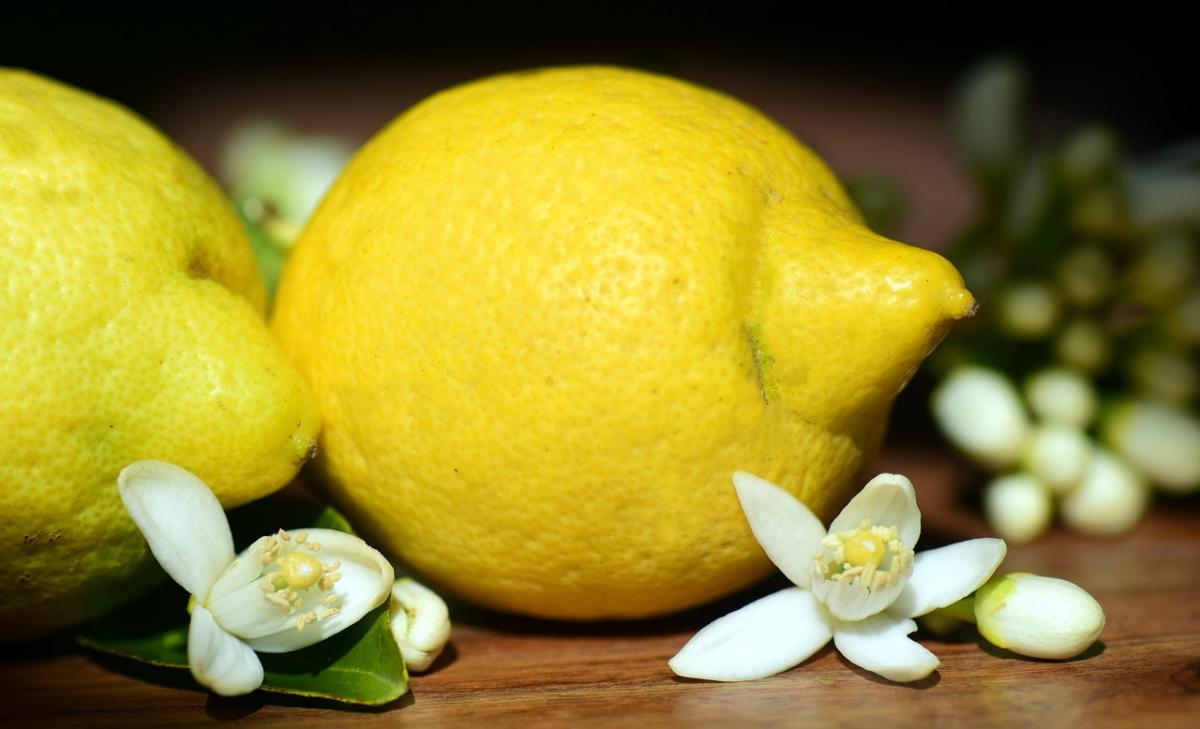 Rinfreschiamo l’estate con la ricetta del pesto di limone