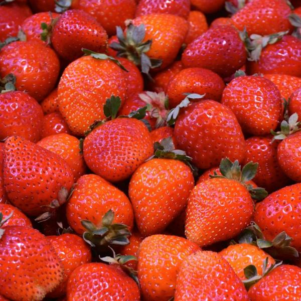 Quale torta per la festa della mamma con le fragole? Provate la torta giardino