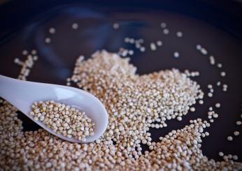 Quinoa: cos’è, perchè mangiarla, come si coltiva e si cucina