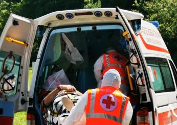 Mandragora venduta al posto degli spinaci: ricoverate 8 persone per intossicazione