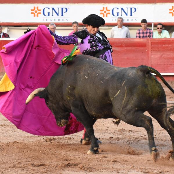 Colombia, il Parlamento vieta la corrida dal 2027: esultano gli ambientalisti