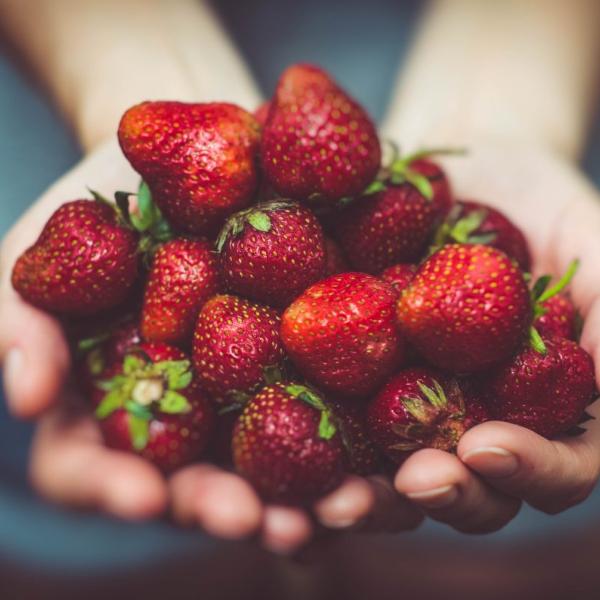 Zinco, a cosa serve, proprietà, in quali alimenti si trova, benefici ed effetti collaterali. È vero che aumenta il testosterone?