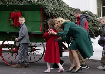 Usa, incidente alla Casa Bianca: forte vento abbatte il tradizionale albero di Natale