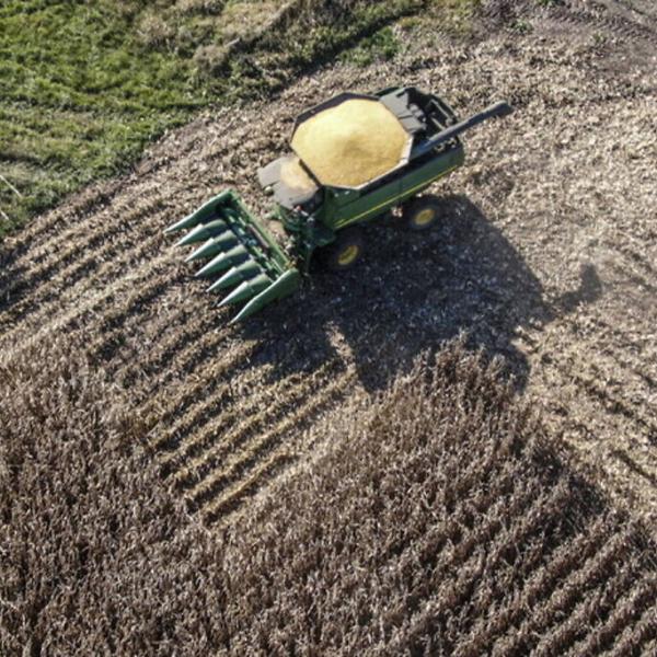 Contributi Pac agricoltori, da quando i pagamenti, quali aumenti di importi per il 2023 e controlli