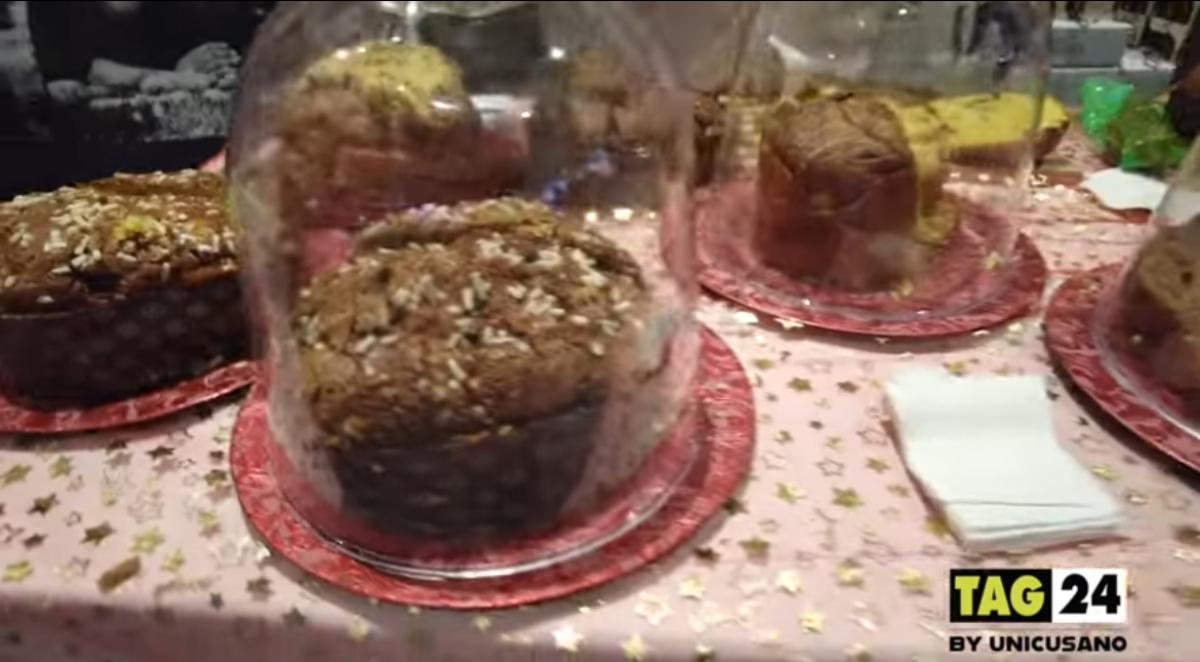 Panettone artigianale costi, l’allarme dalla Fiera Nazionale: “Cost…