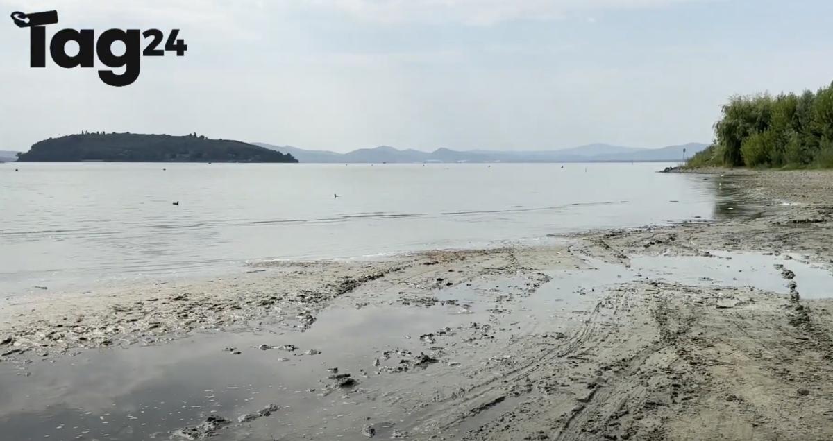 Siccità, critica la situazione del lago Trasimeno, i cittadini preoccupati: “Moria di pesci e rischi per il turismo” | VIDEO