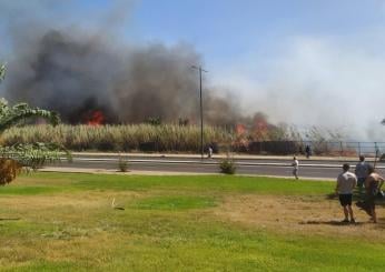 Incendi in Sardegna dove? Ecco la mappa dei roghi. La situazione oggi