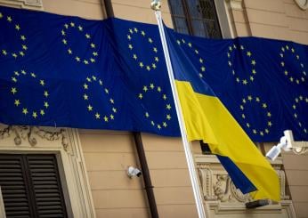 Parlamento Europeo, l’eurodeputato slovacco Miroslav Radacovsky libera una colomba bianca in aula: “Messaggio di pace per l’Europa” | VIDEO