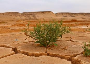 Cambiamento climatico, allarme Onu per nuove ondate di calore da record: aumentano i rischi per la salute