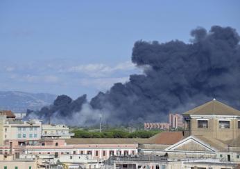 Incendio a Roma, in fiamme la pineta di Castel Fusano