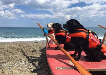 Ladispoli, sulla spiaggia di Torre Flavia i cani bagnini salvano due persone nel giro di un’ora e mezza