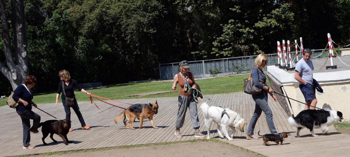 Monza, la richiesta di accarezzare il cane si trasforma in aggressi…