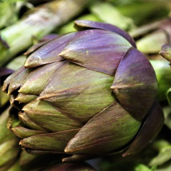 Lasagna ai carciofi: la ricetta della nonna facile e buonissima