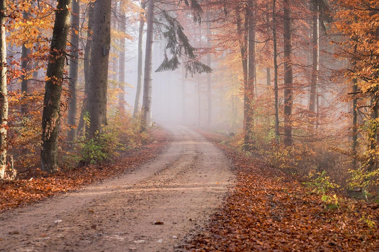 I migliori posti in Italia dove ammirare il foliage