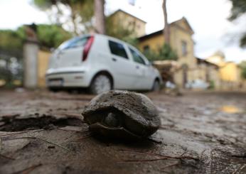 Alluvione in Toscana, psicologi donano 10 mila euro per Natale ai c…