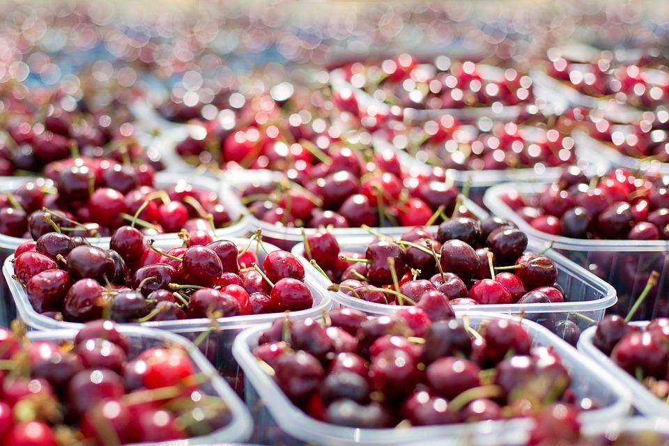 Caldo record, brucia la frutta sugli alberi