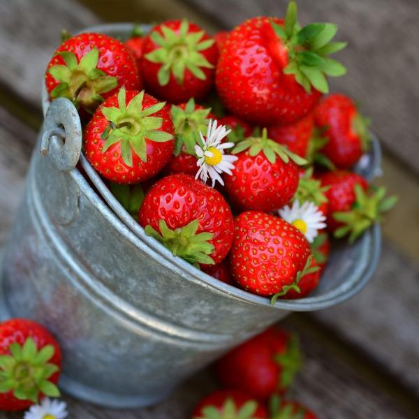 Fresca golosità: lo zuccotto alle fragole