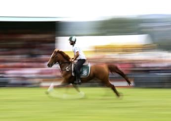 Roma protagonista dell’equitazione con il Longines global Championship tour 2023, dal 15 al 17 settembre