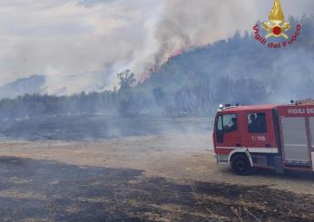 Catanzaro, famiglia spezzata dalle fiamme di un incendio: morti tre…