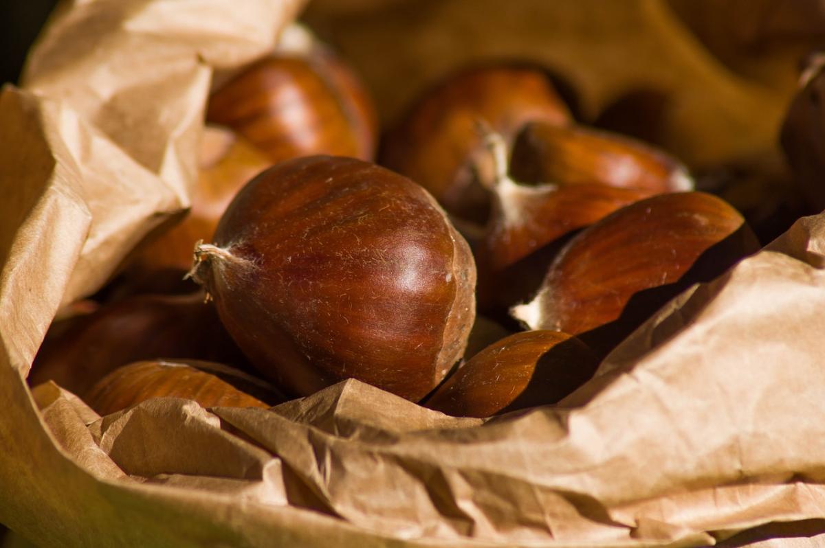 Un autunno riscaldato dalla minestra di castagne