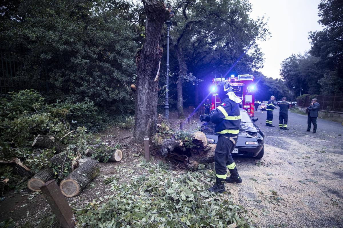 Tragedia Bettola, un ragazzo di 32 anni muore a Missano mentre tagl…