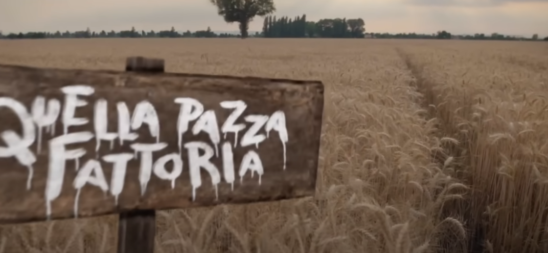 Gomiero Farm, dove si trova la fattoria dei protagonisti della docu-serie in onda su DMAX?