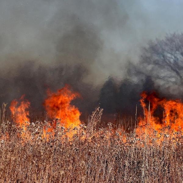 Incendio sul Carso: continui disagi a Trieste e probabile blackout in arrivo