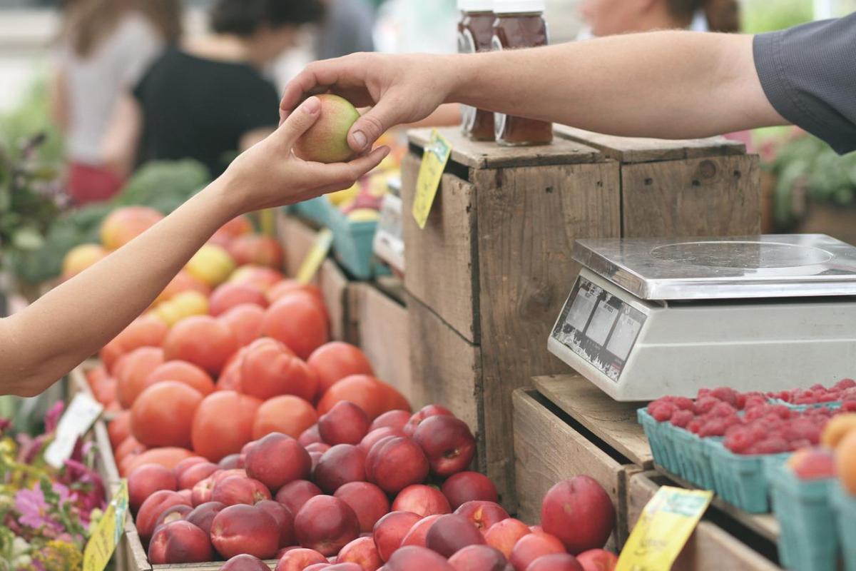 Rinnovato il Ccnl degli operai agricoli