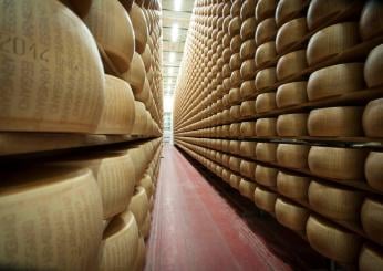 Bergamo, crollano scaffali con 25mila forme di Grana Padano: morto …