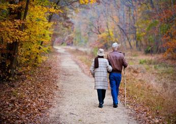 Pensioni, è possibile anticipare l’uscita con i contributi volontari?