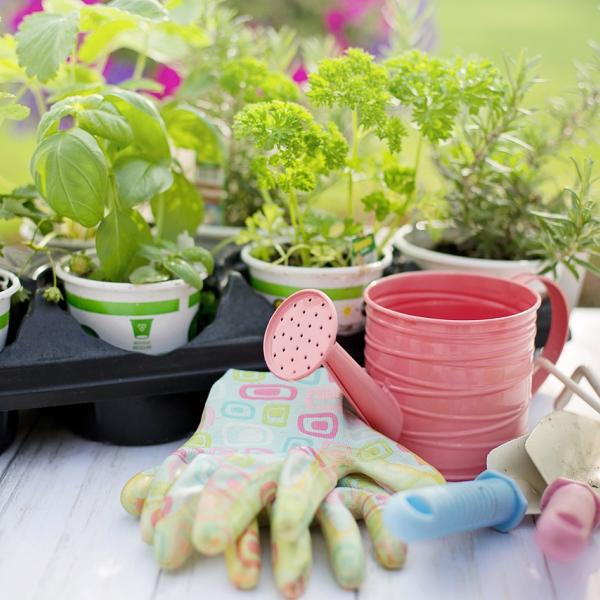 Garden Therapy: cos’è, le sue origini e i benefici di questa pratica