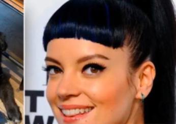 Lily Allen ha abbandonato il suo cane? La verità sulla polemica alla cantante