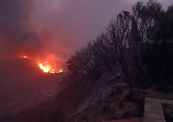 Palermo, incendio a Campo Felice di Roccella: vigili del fuoco a lavoro