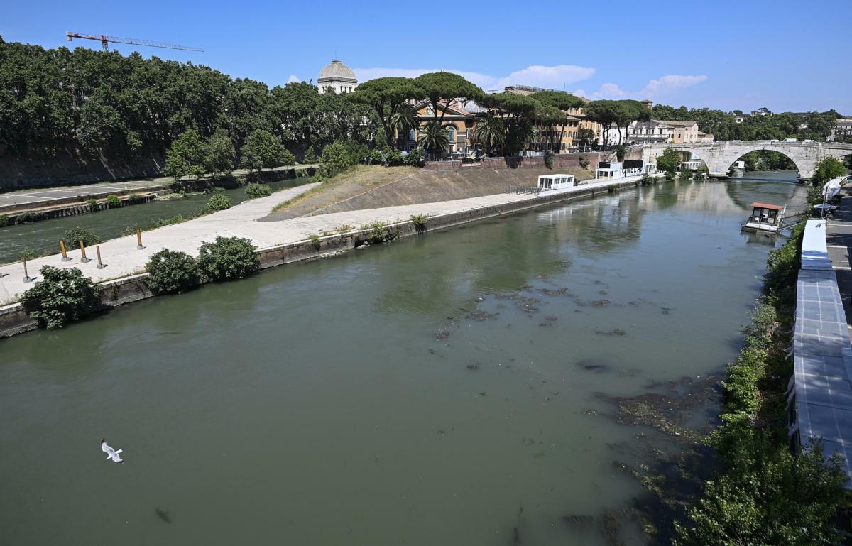 Roma, morto il ragazzo caduto giù da Ponte Garibaldi