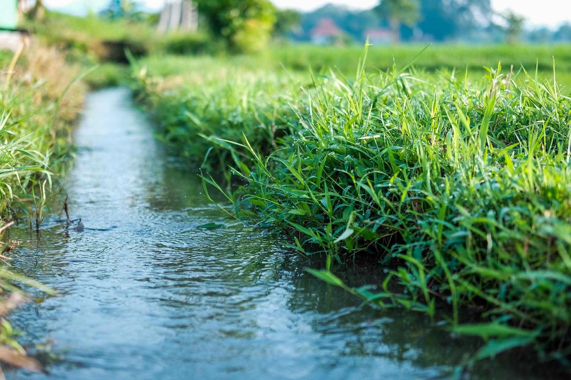 Allarme siccità 2023: 3,5 milioni italiani a rischio acqua