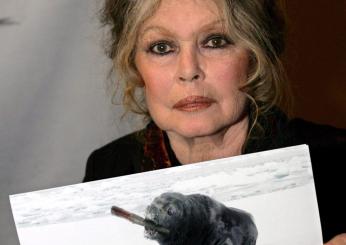 Brigitte Bardot contro Macron: “Essere malefico, vigliacco che ha fatto della Francia un bidone della spazzatura”