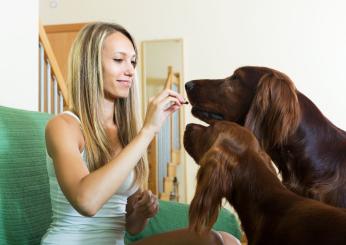 Gli animali domestici aiutano a rafforzare il sistema immunitario, …