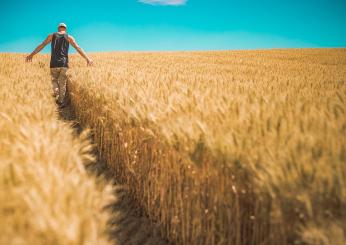 La Giornata mondiale della sicurezza alimentare 2023. La sfida globale