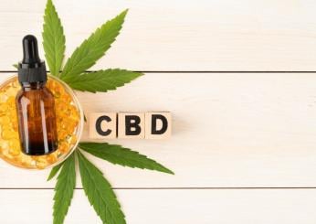 CBD di nuovo vietato in Italia, ma perché per alcuni è indispensabile? Quali sono i suoi effetti sulla salute?