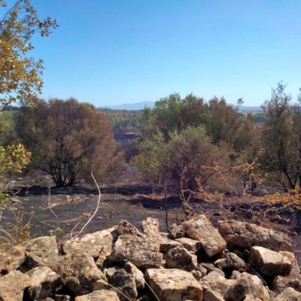 Incendio a Burcei in Sardegna, ettari di macchia mediterranea in fumo