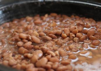 Fagioli borlotti: ricette facili, ma ricche di sapore