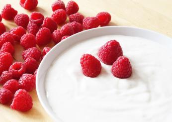 Yogurt greco: tante idee per la prima colazione